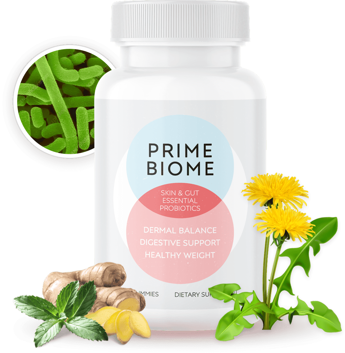 PrimeBiome skin and gut health supplement bottle with gummies